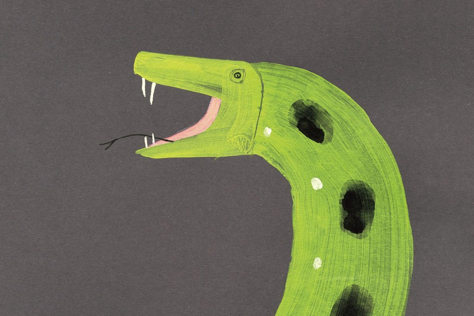 Vandaag houd ik mijn spreekbeurt over de Anaconda – BoeXL